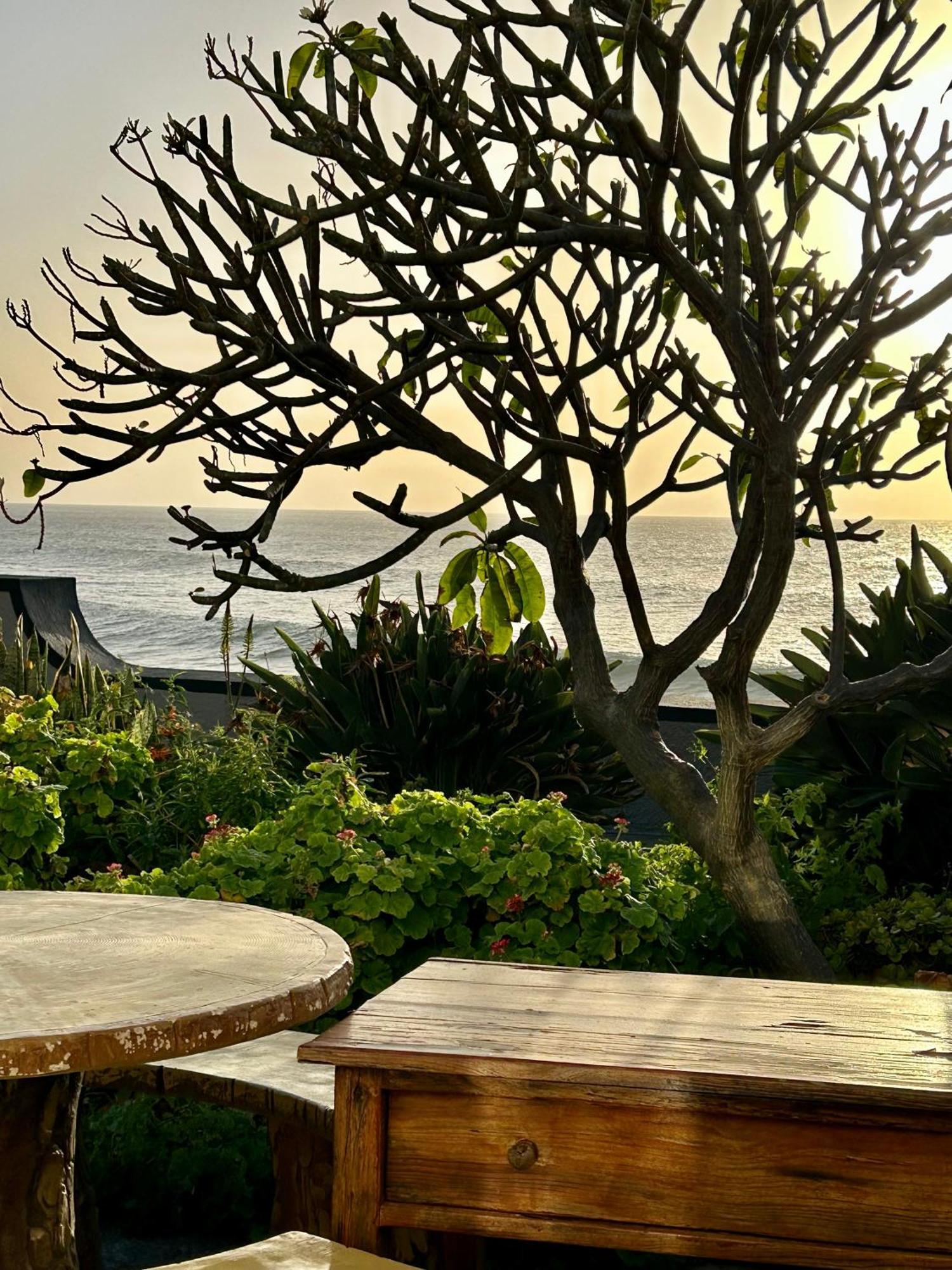 Casa Carneirinho By Ola Madeira Willa